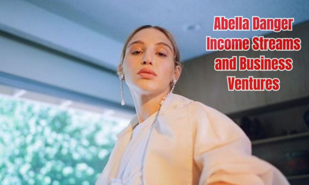 Abella Danger Income